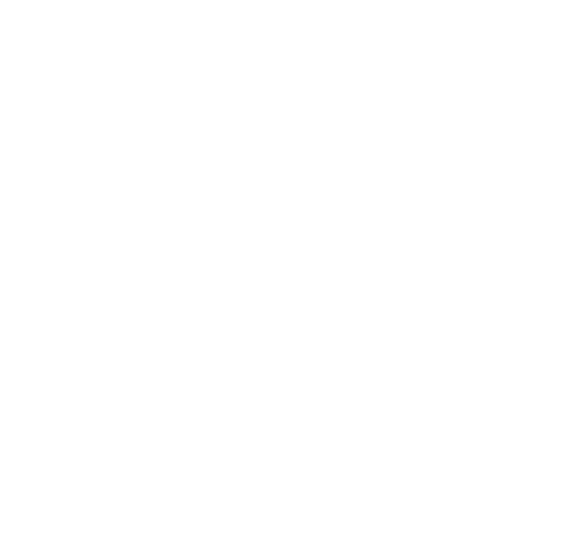 Six One Sol bird mark